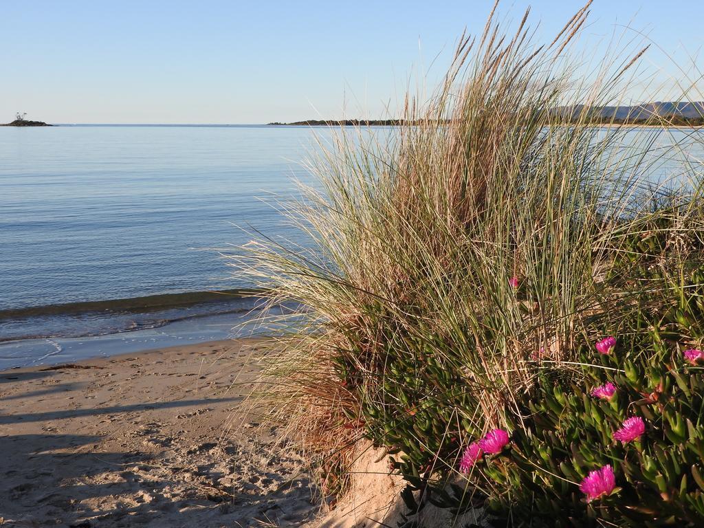 Hotel Moomba Holiday And Caravan Park Port Sorell Zewnętrze zdjęcie